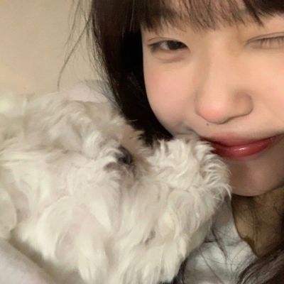 开疆纪果盘版下载